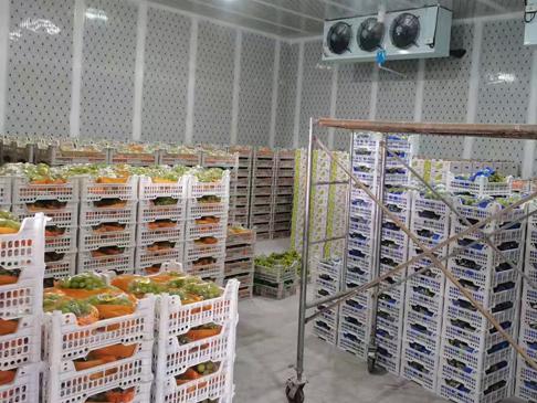 冷庫輕微冰堵與嚴(yán)重冰堵的處理方式